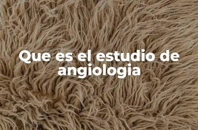 Que es el Estudio de Angiologia 2 La importancia de entender la salud vascular