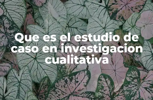 Que es el Estudio de Caso en Investigacion Cualitativa