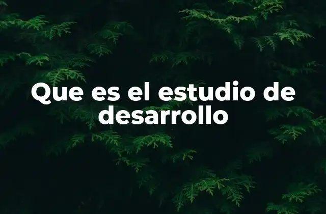 Que es el Estudio de Desarrollo