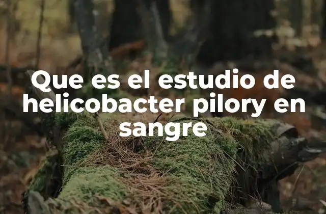 Que es el Estudio de Helicobacter Pilory en Sangre