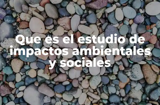 Que es el Estudio de Impactos Ambientales y Sociales