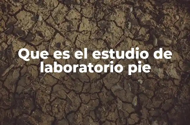 Que es el Estudio de Laboratorio Pie