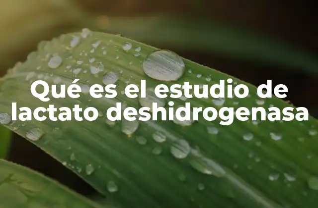 Qué es el Estudio de Lactato Deshidrogenasa