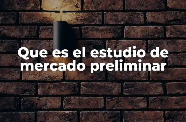 Que es el Estudio de Mercado Preliminar