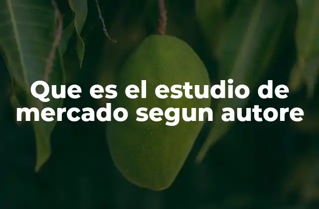 Que es el Estudio de Mercado Segun Autore