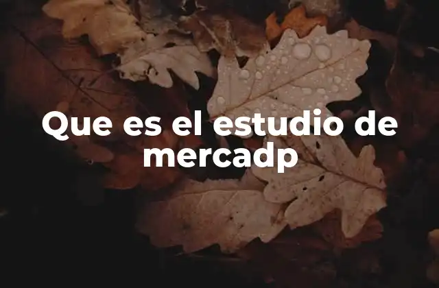 Que es el Estudio de Mercadp 2 El rol de los estudios en el análisis comercial