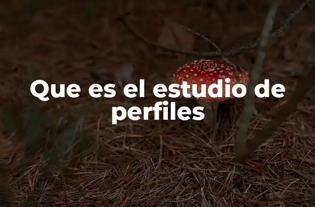 Que es el Estudio de Perfiles