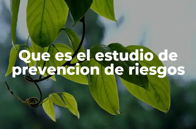 Que es el Estudio de Prevencion de Riesgos