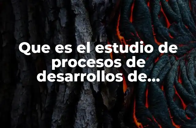 Que es el Estudio de Procesos de Desarrollos de Producto