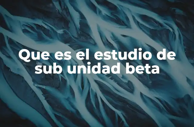 Que es el Estudio de Sub Unidad Beta
