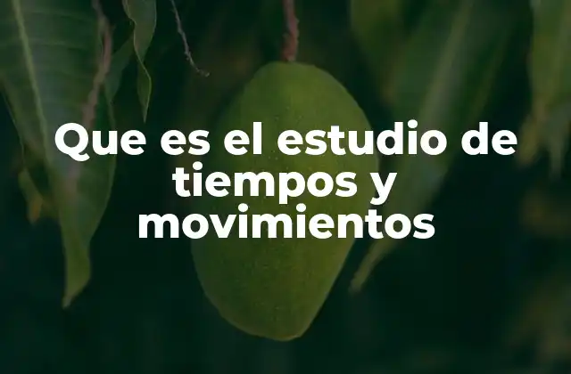 Que es el Estudio de Tiempos y Movimientos