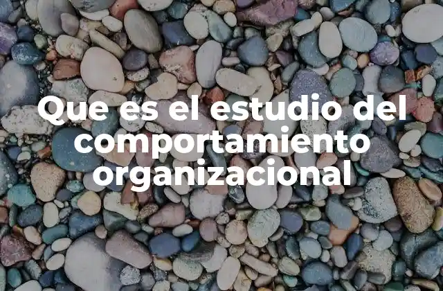 Que es el Estudio Del Comportamiento Organizacional