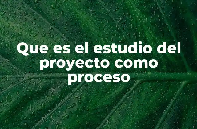 Que es el Estudio Del Proyecto como Proceso