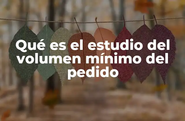 La importancia del volumen mínimo en la gestión de inventarios