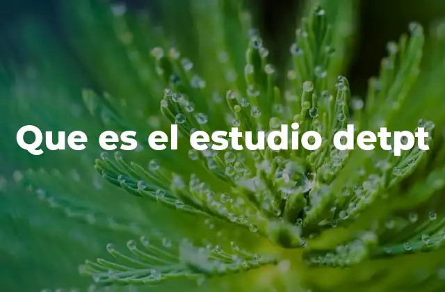 Que es el Estudio Detpt