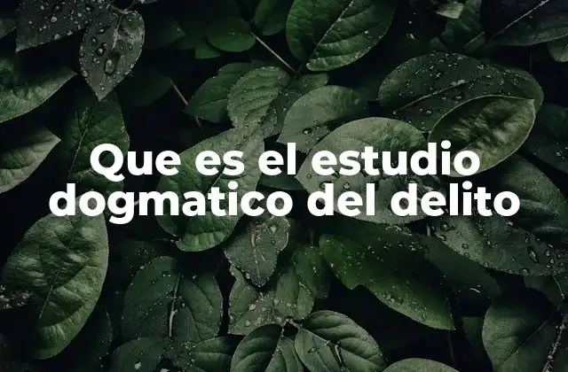Que es el Estudio Dogmatico Del Delito