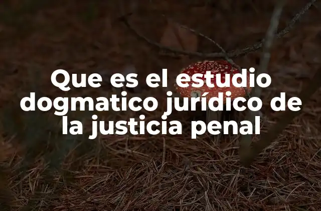 Que es el Estudio Dogmatico Jurídico de la Justicia Penal