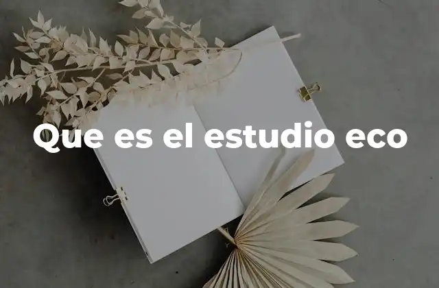 Que es el Estudio Eco