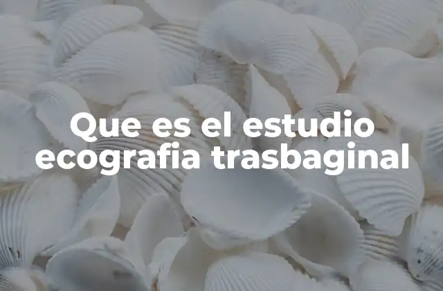 Que es el Estudio Ecografia Trasbaginal