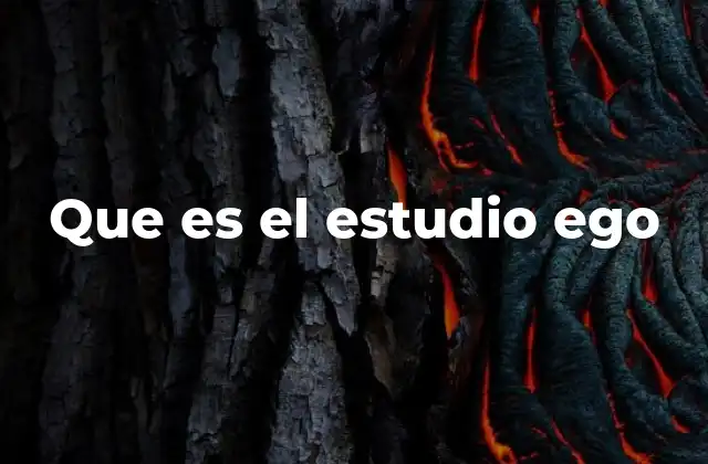 Que es el Estudio Ego