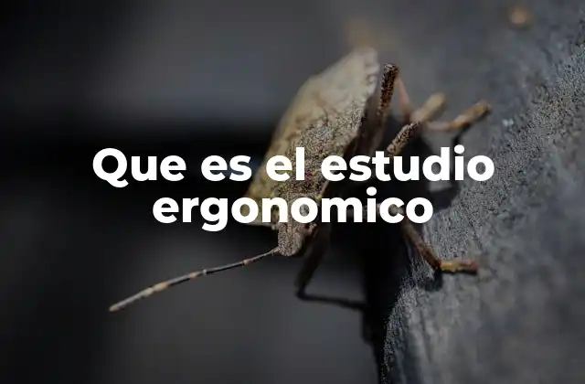 Que es el Estudio Ergonomico