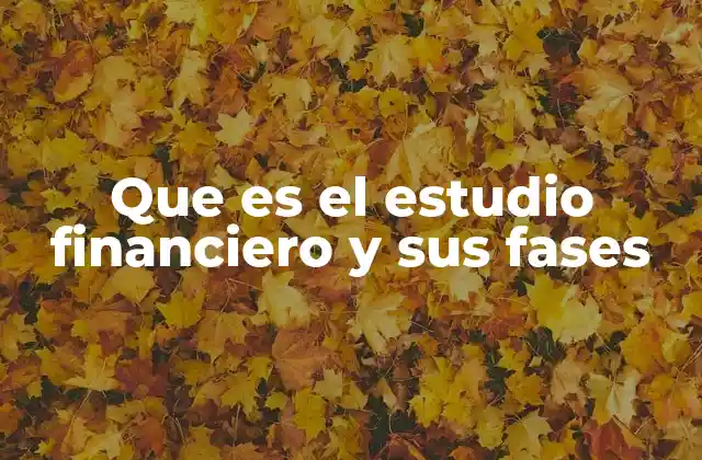 Que es el Estudio Financiero y Sus Fases