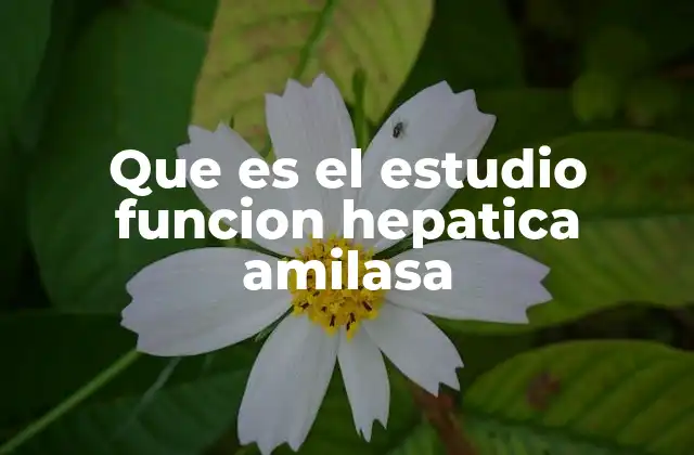 La importancia de los análisis de sangre en la salud hepática y digestiva