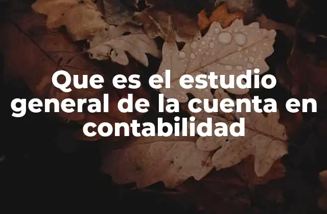 Que es el Estudio General de la Cuenta en Contabilidad