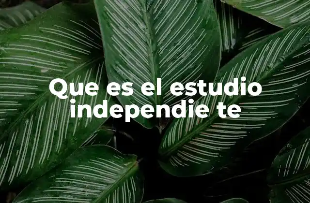 La importancia de los estudios independientes en la toma de decisiones