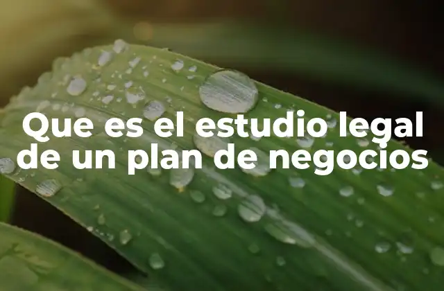 Que es el Estudio Legal de un Plan de Negocios
