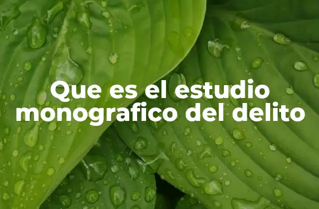 Que es el Estudio Monografico Del Delito