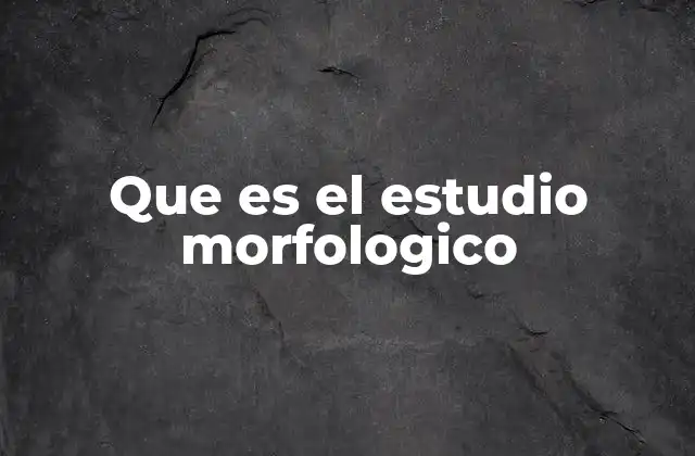 Que es el Estudio Morfologico