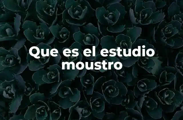 Que es el Estudio Moustro