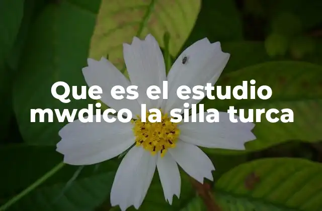 La importancia de la silla turca en la medicina clínica