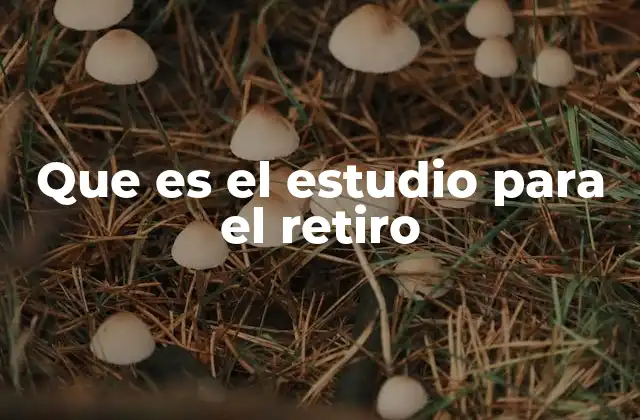 Que es el Estudio para el Retiro