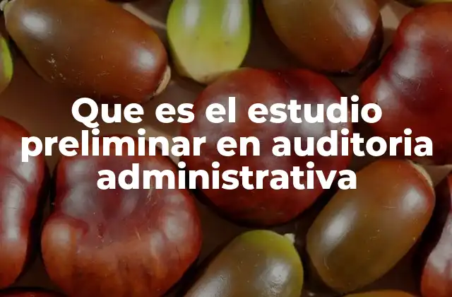 Que es el Estudio Preliminar en Auditoria Administrativa