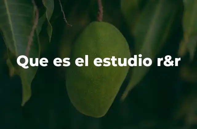 Que es el Estudio R&r
