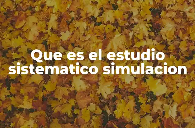 Que es el Estudio Sistematico Simulacion