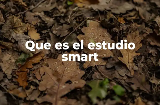 Que es el Estudio Smart