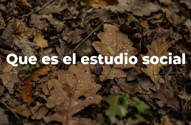 Que es el Estudio Social