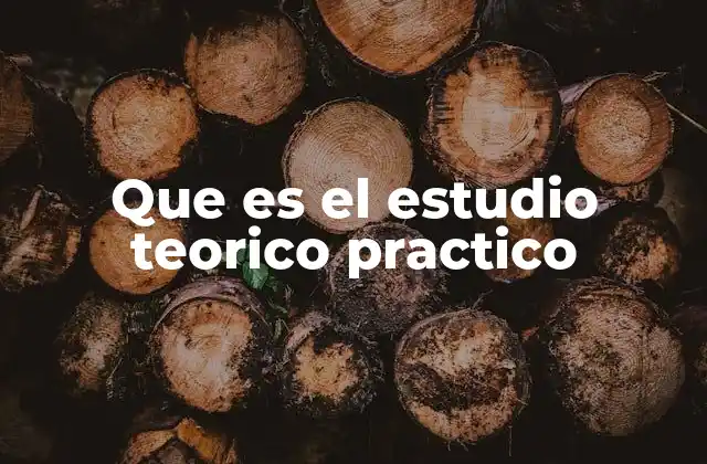 Que es el Estudio Teorico Practico