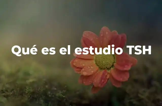 La relevancia de la prueba tiroidea en la salud general