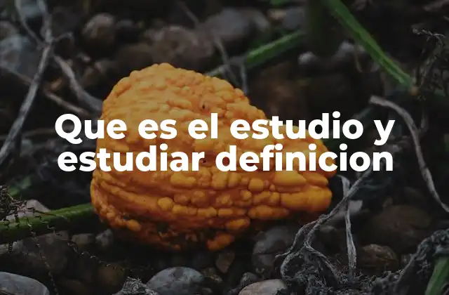 Que es el Estudio y Estudiar Definicion