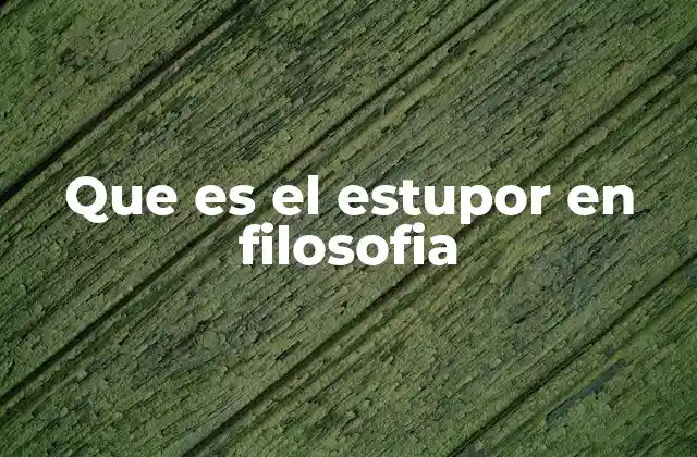 Que es el Estupor en Filosofia