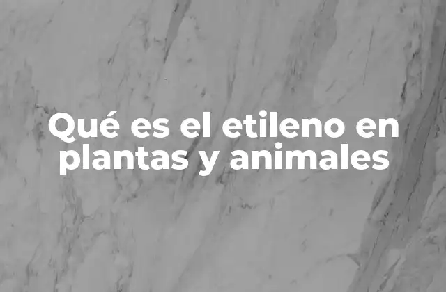 Qué es el Etileno en Plantas y Animales