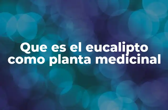Que es el Eucalipto como Planta Medicinal