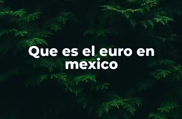 Que es el Euro en Mexico 2 El papel del euro en el contexto financiero mexicano