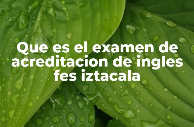 Que es el Examen de Acreditacion de Ingles Fes Iztacala