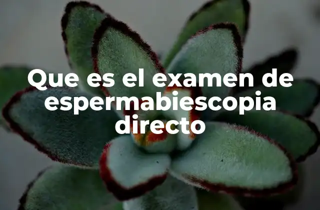 Que es el Examen de Espermabiescopia Directo