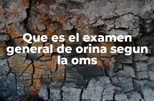Que es el Examen General de Orina Segun la Oms 2 El rol del uroanálisis en la detección de enfermedades